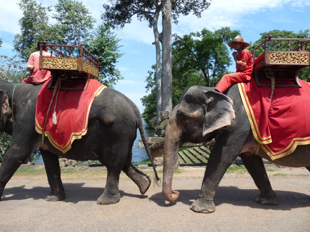 Les éléphants à Angkor